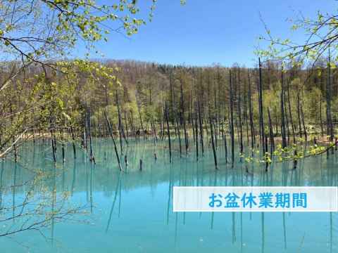 お盆休みのお知らせ